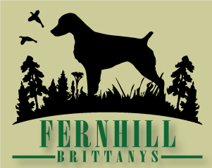 Fernhill Brittany Logo | Chumbly